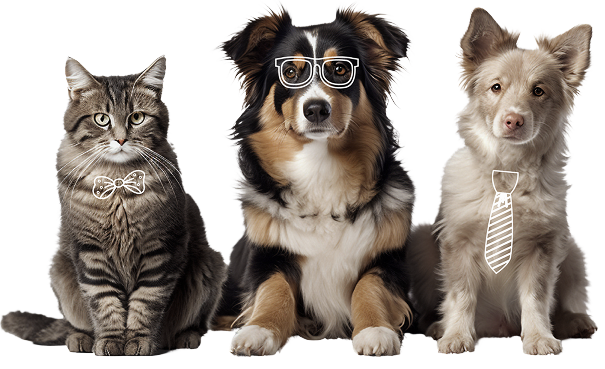 Mascotas Kaipet