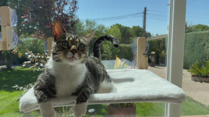 Hamaca para Gato de Ventana - Blanco